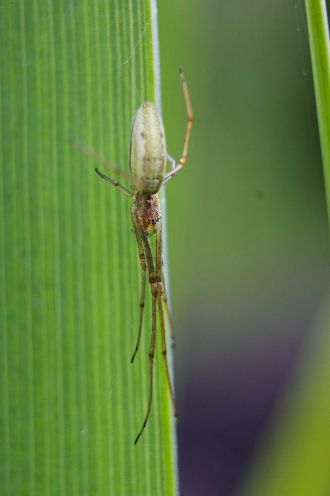 Photograph by Светлана Попкова