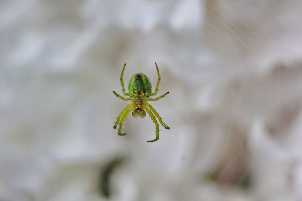 Photograph by Светлана Попкова