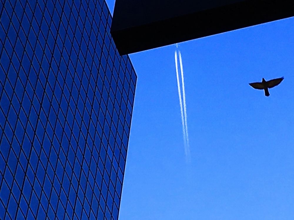 Photograph by Владимир Молостов