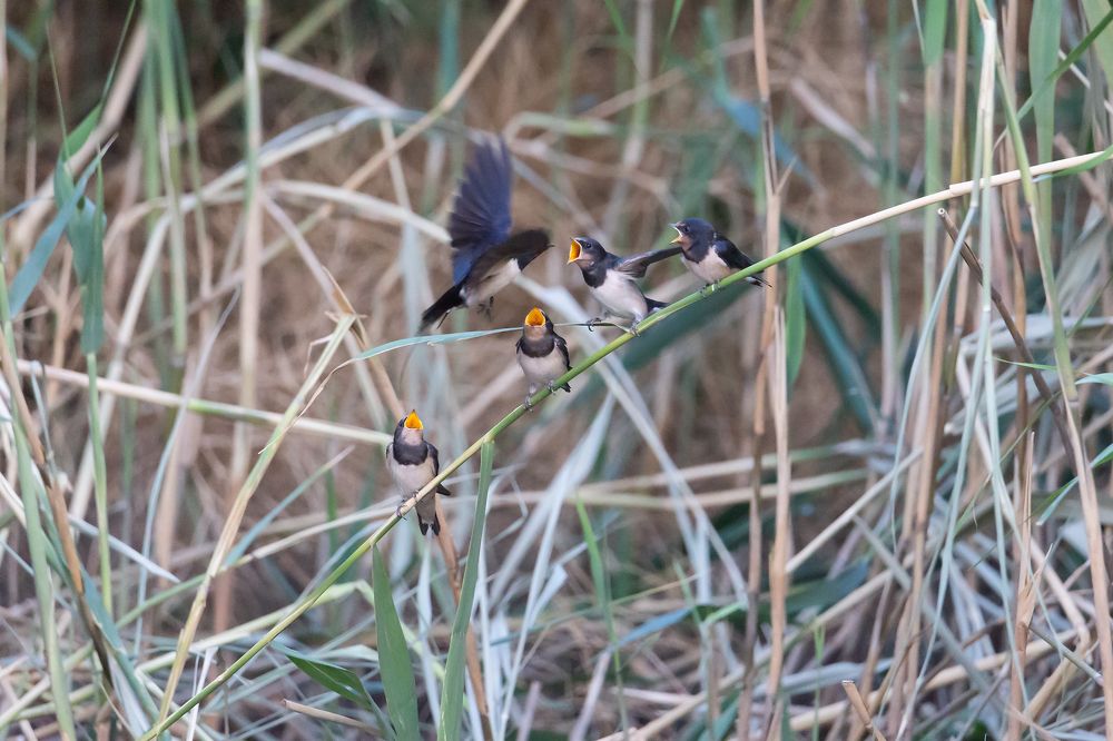Photograph by Александр Ильин