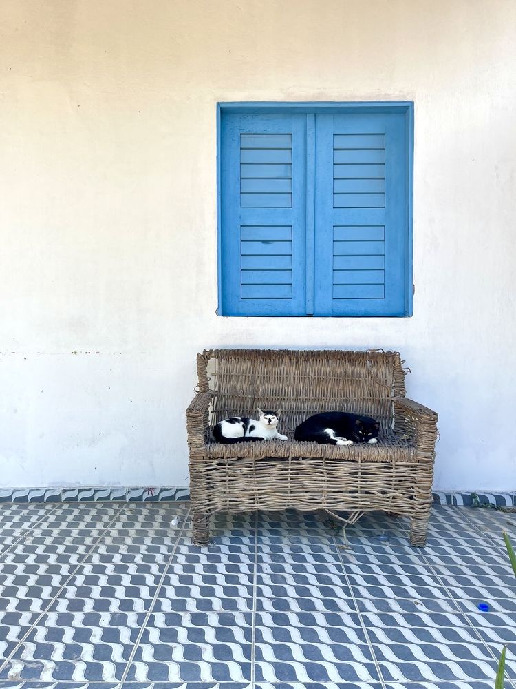 Photograph by Жанна Полуянова