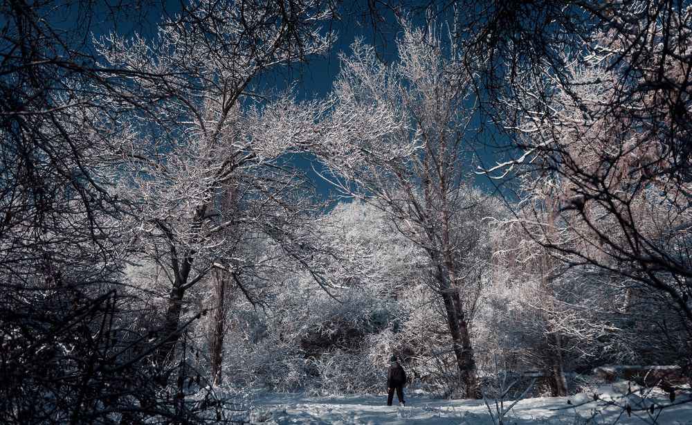 Photograph by Анна Пашко