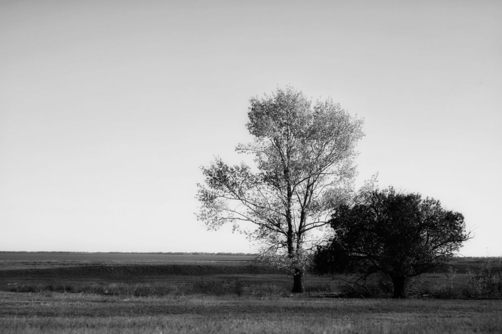 Photograph by Гульжан Шарипова