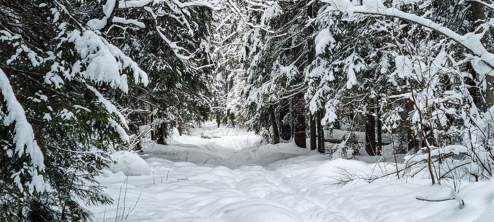 Photograph by Василий Арлашов