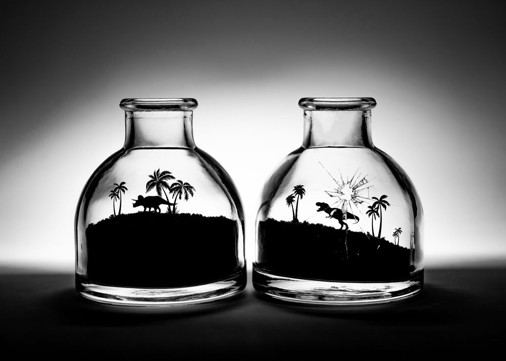 Photograph by 