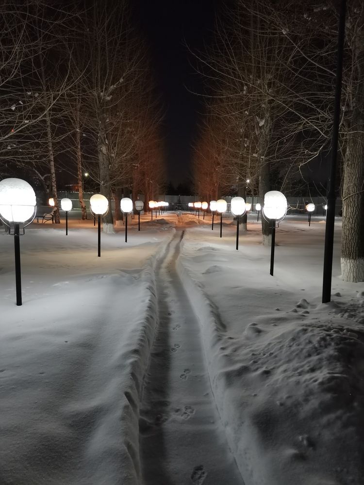 Фотография автора Юлия Лубкина