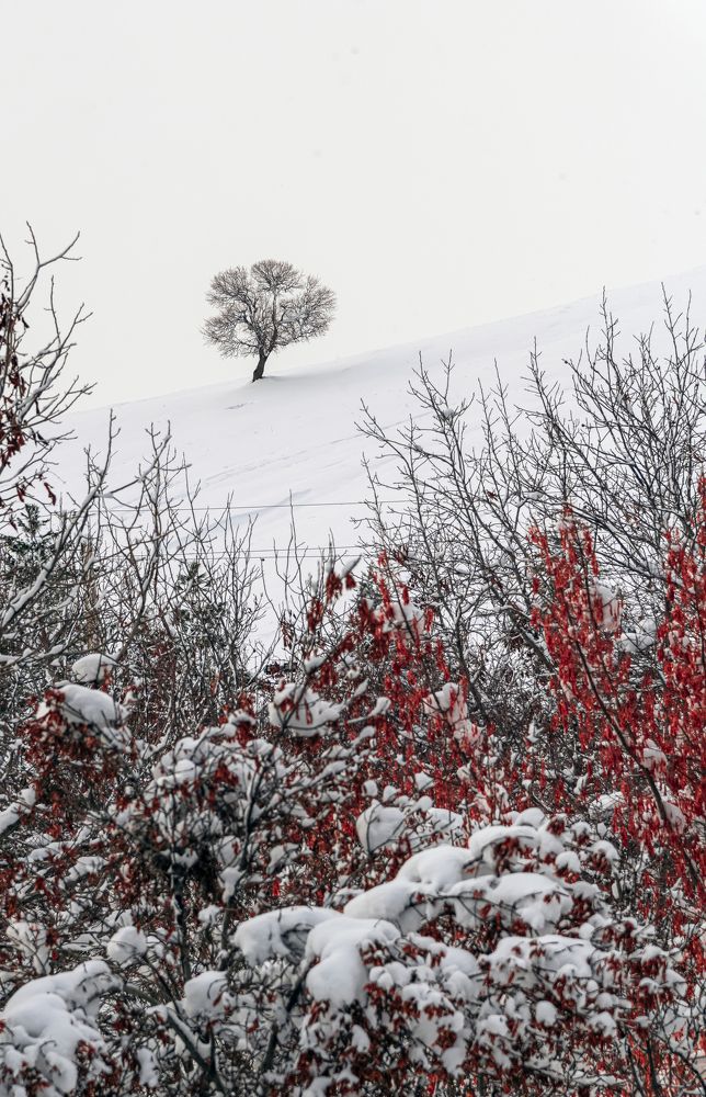 Photograph by Adl Abdolahi