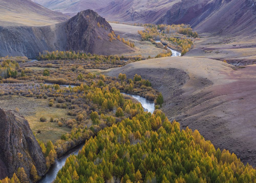 Фотография автора Олег Матроницкий