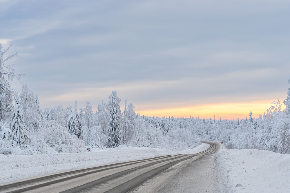 Фотография автора Наталья
