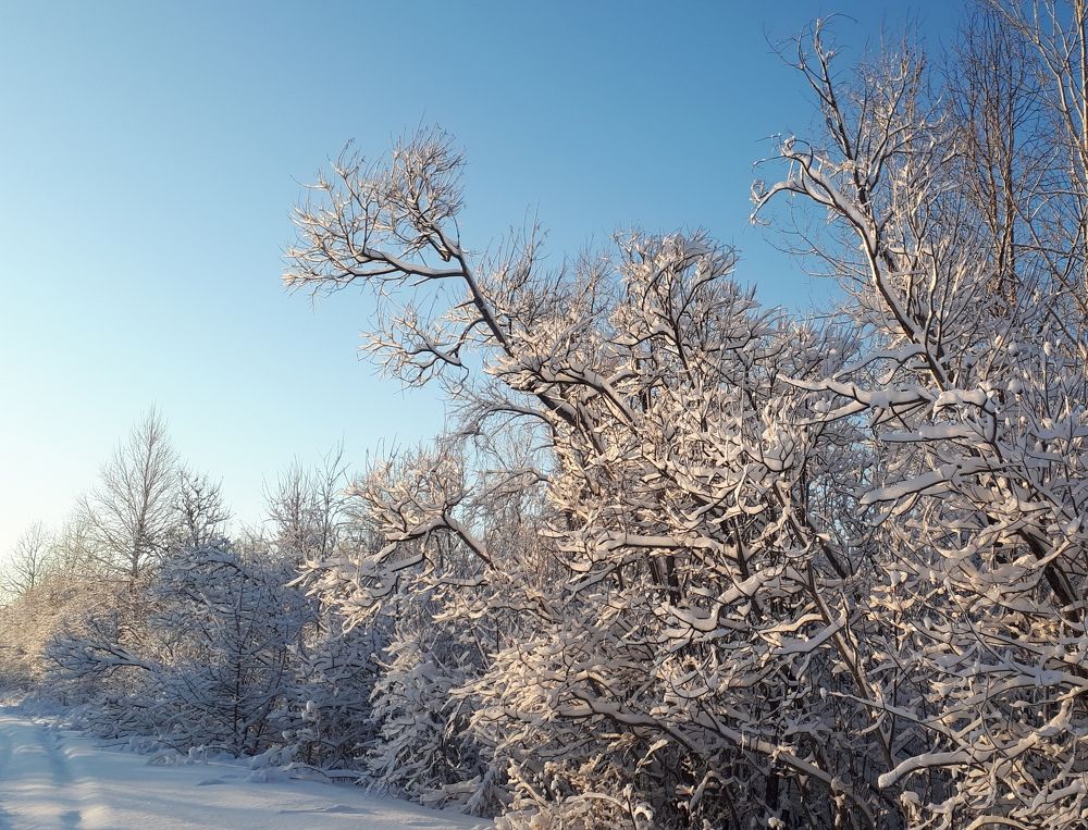Photograph by Людмила Колеватова