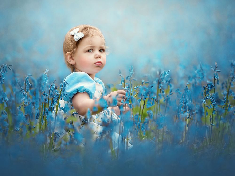 Photograph by Julia Zulge