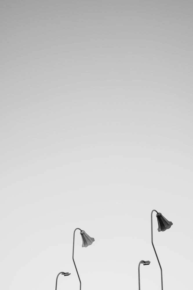 Photograph by Аза