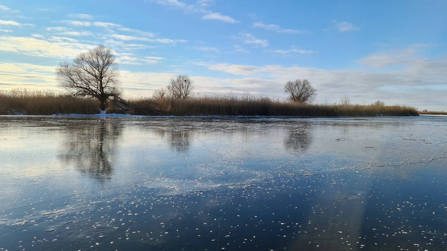 Photo #7084802