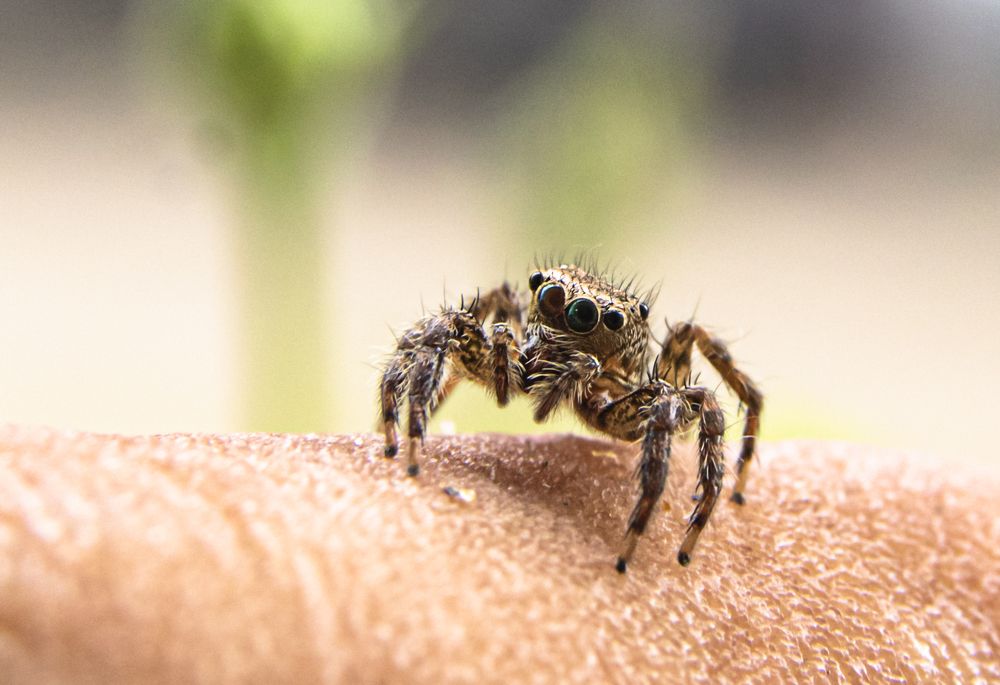 Photograph by Lê Trung Phùng