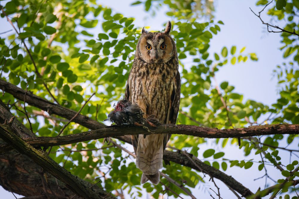 Photograph by Чурсина Виктория