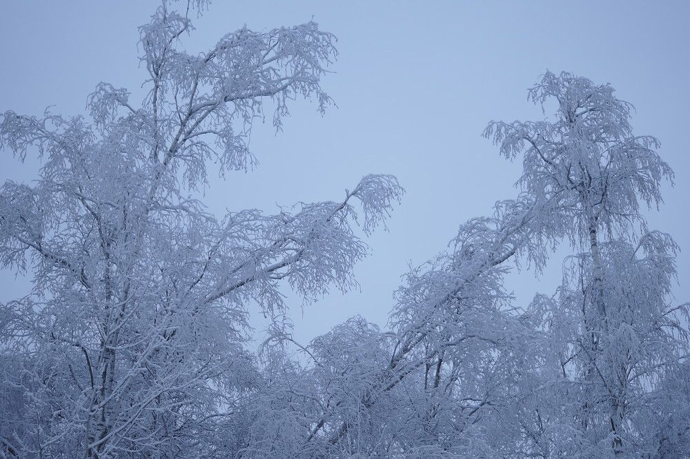 Photograph by Екатерина Стрельникова