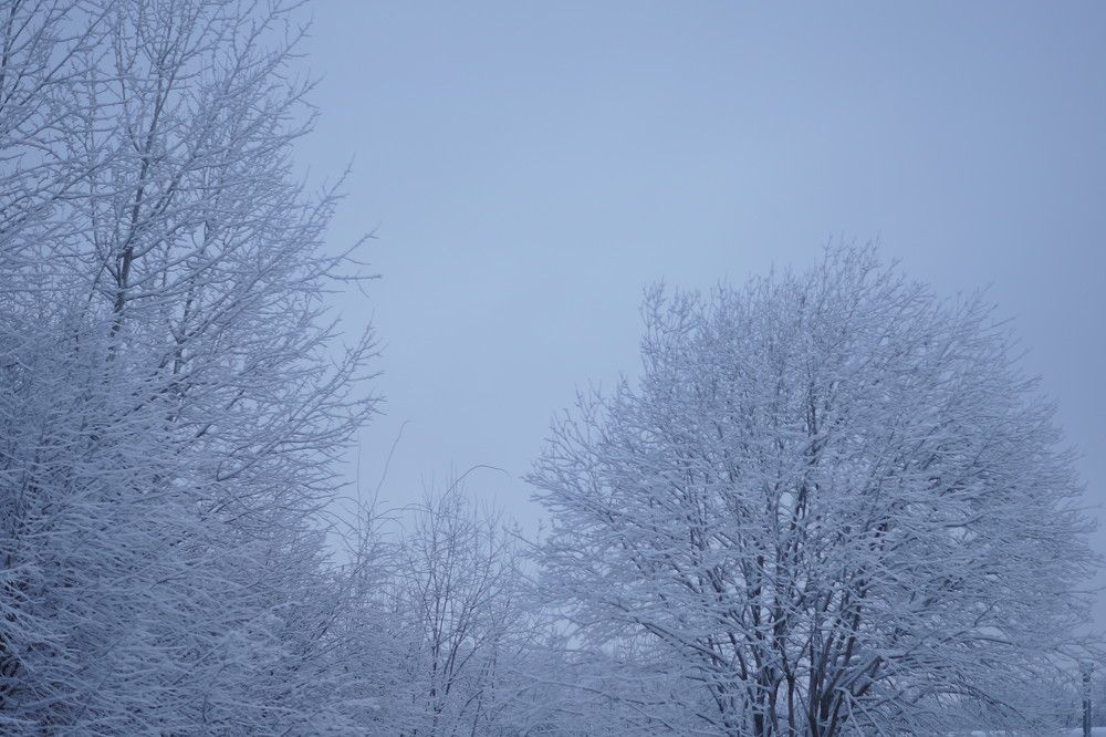 Photograph by Екатерина Стрельникова