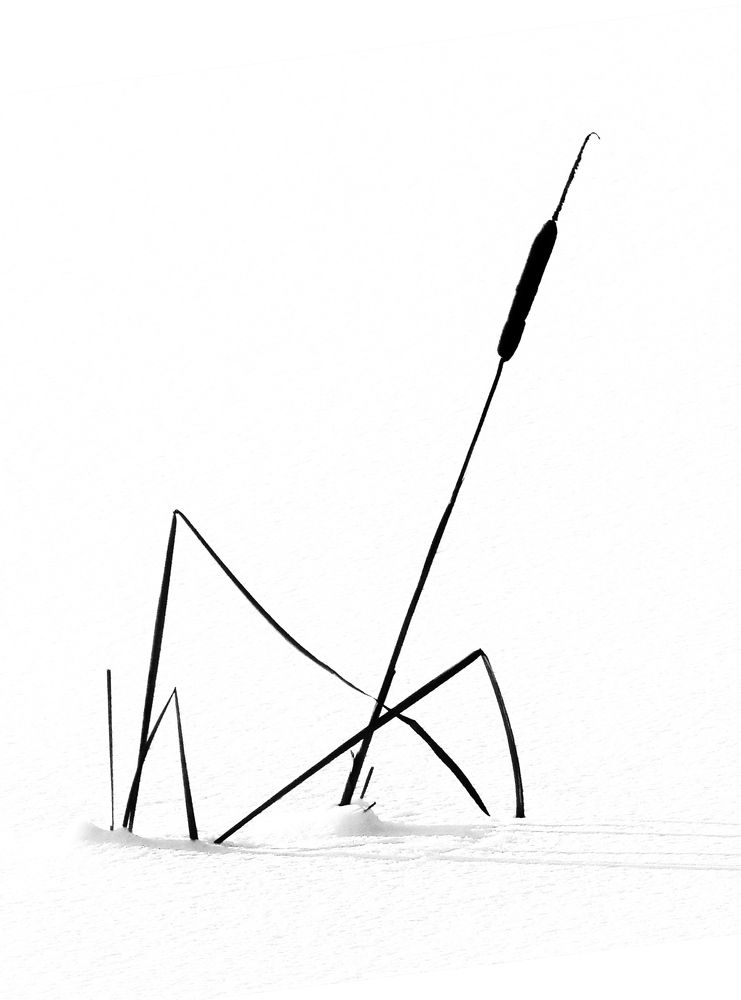 Photograph by Светлана