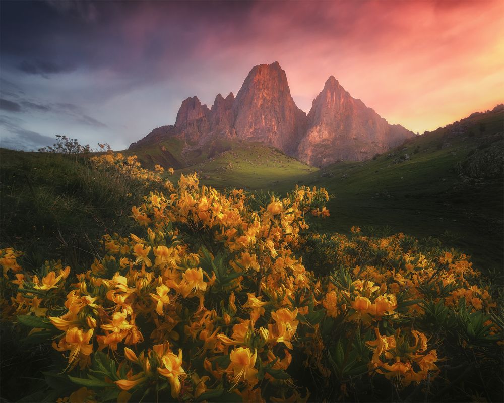 Photograph by Анна Политова