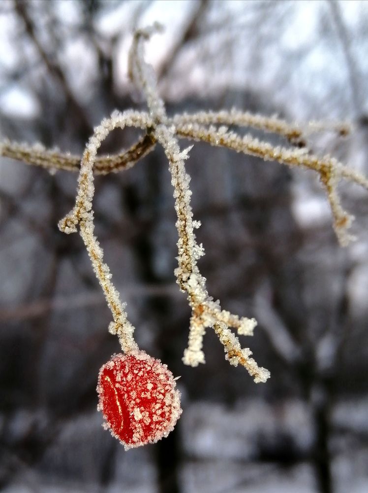 Photograph by Светлана Веселовская
