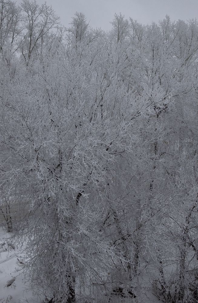 Photograph by Елена Елизарьева