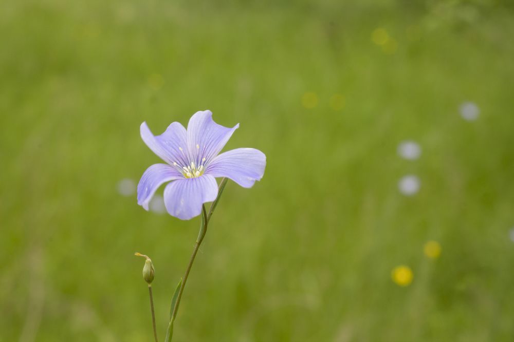 Photograph by Дарья Ващенко-Панкина