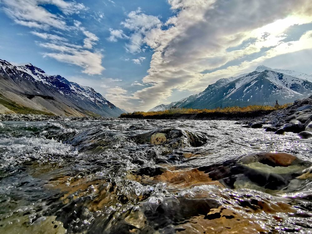 Прохлада горного ручья - The coolness of a mountain stream