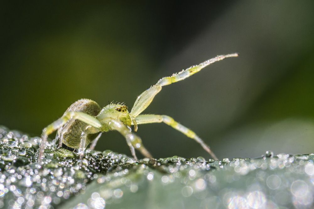 Photograph by Ryanny Torna