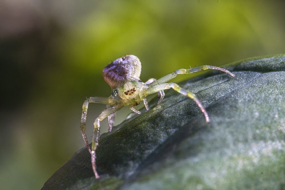 Photograph by Ryanny Torna