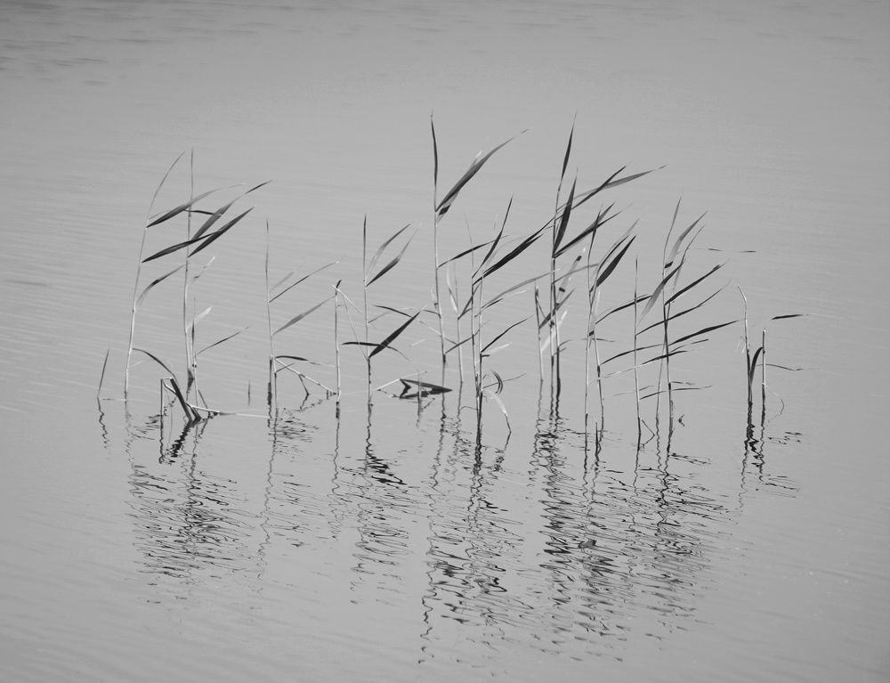 Photograph by Дмитрий Дёмин