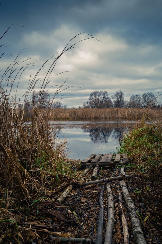 Photograph by Виктория Селютина