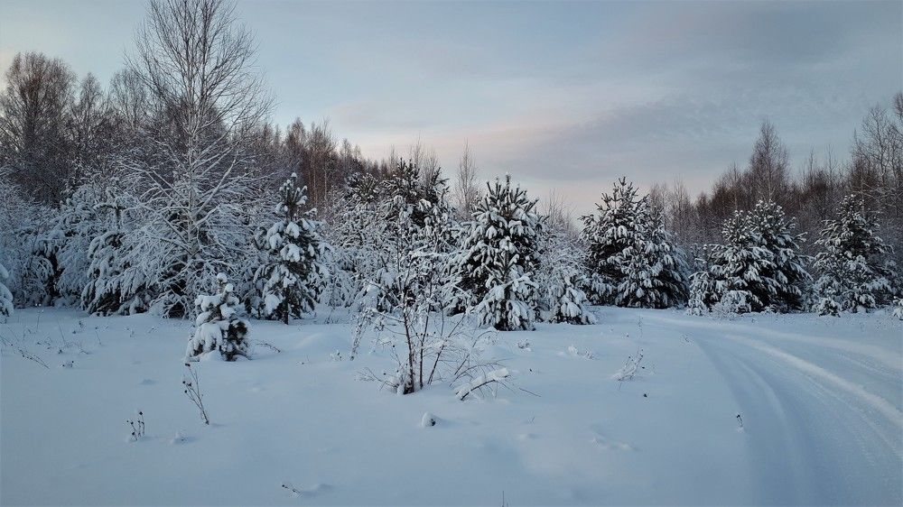 Photograph by Людмила Колеватова