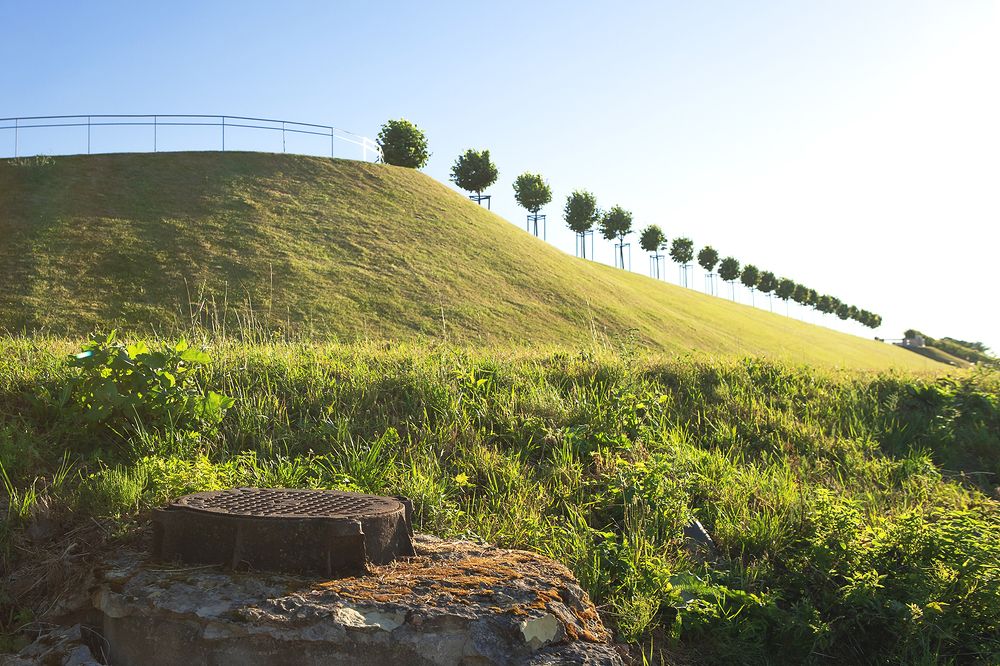 Photograph by Александр Леонтьев