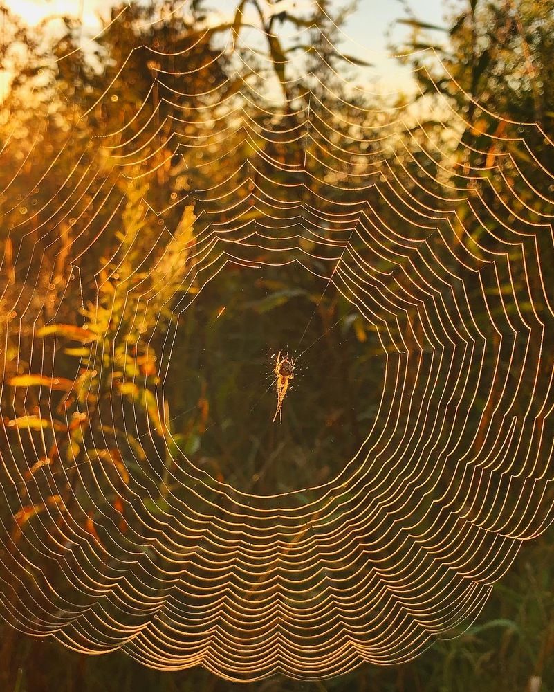 Photograph by Лариса