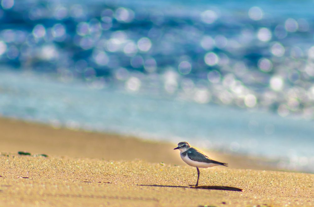 Photograph by Venkata Nitish Polisetty