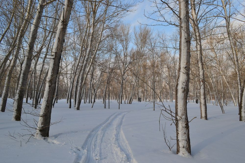 Фотография автора Андрей Хлопонин
