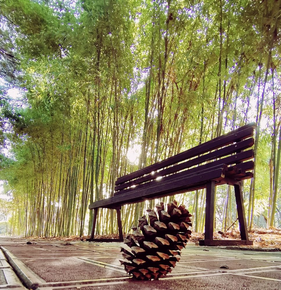 Парковые зарисовки - Park sketches