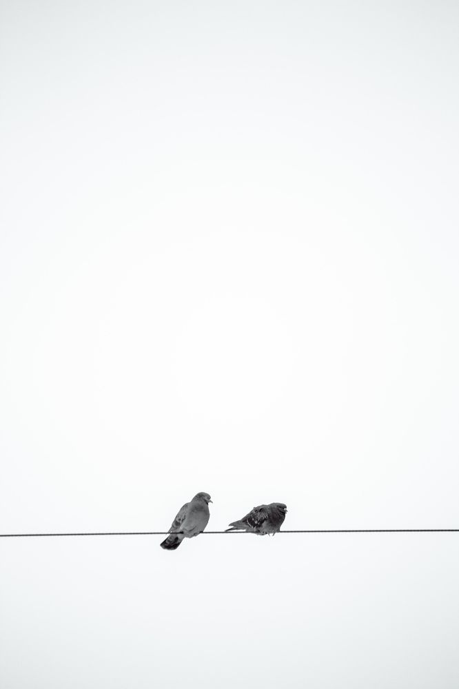 Фотография автора Илья Исаев