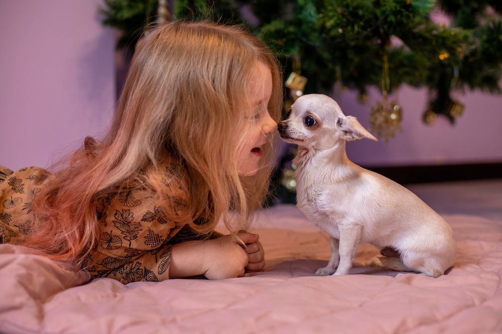 Photograph by Наташа Добрякова