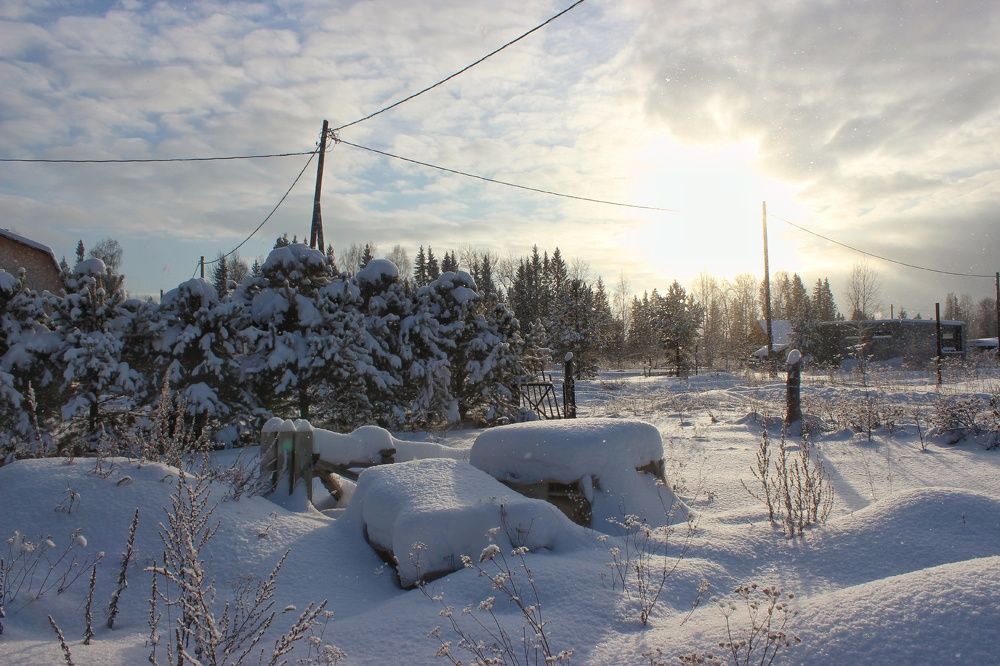 Photograph by Анастасия Чадина