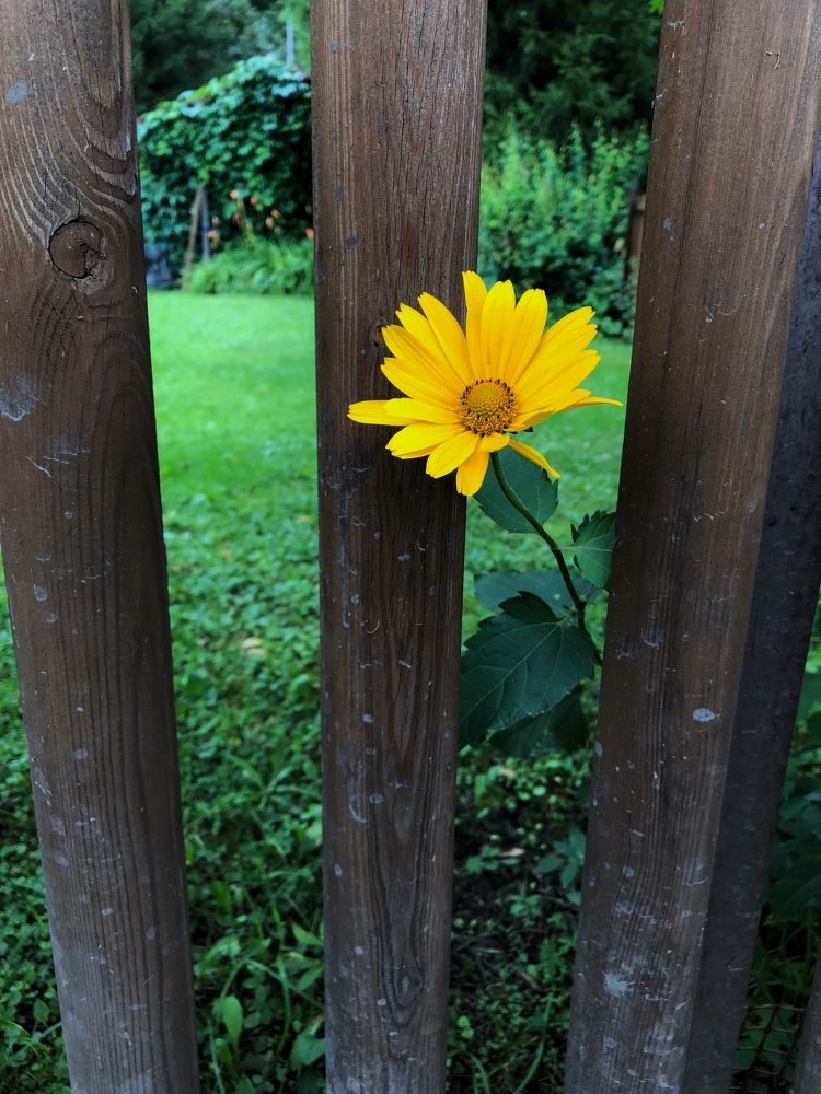 Photograph by Римма Большакова