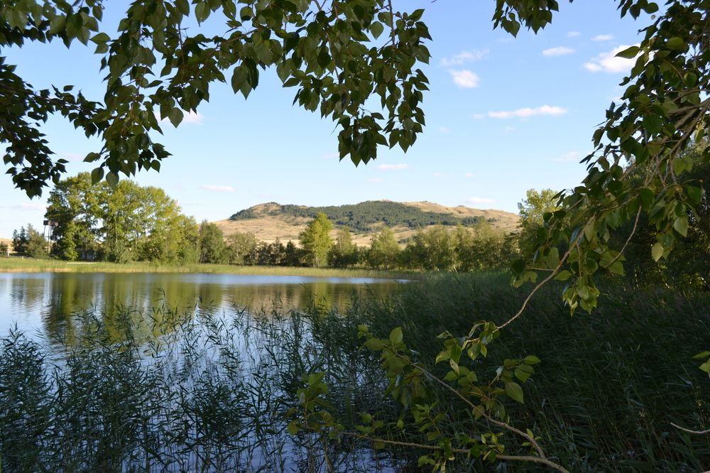 Фотография автора Андрей Хлопонин