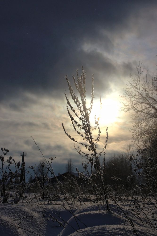 Photograph by Анастасия Чадина