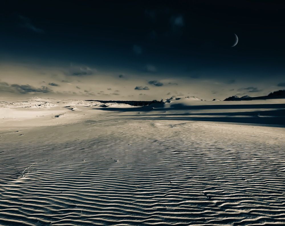 Сумерки в дюнах / Dusk in the dunes