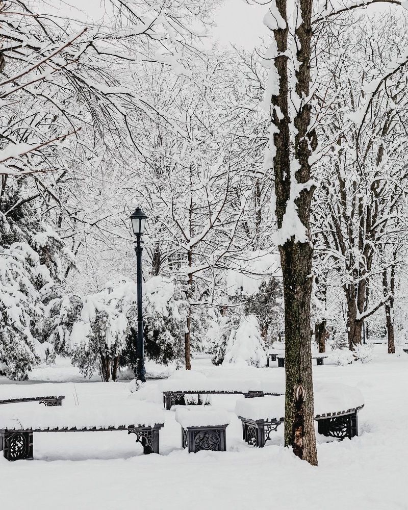 Фотография автора Oxana Yurasova