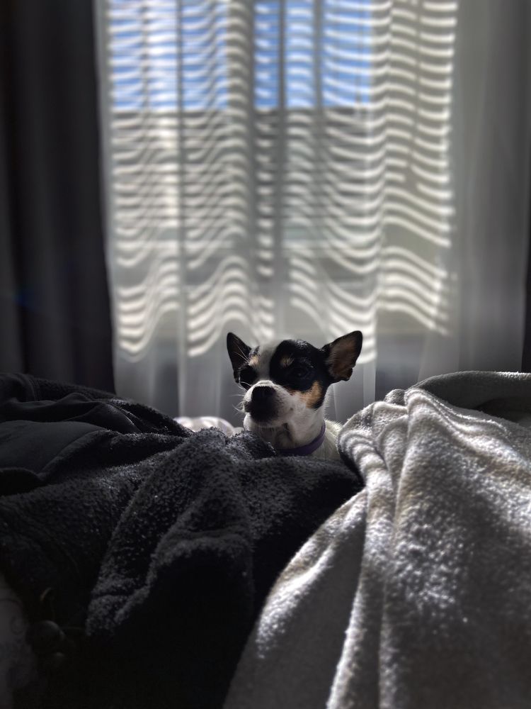 Photograph by Кирилл Сенин