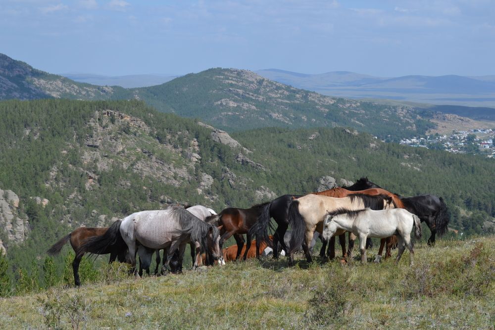 Фотография автора Андрей Хлопонин