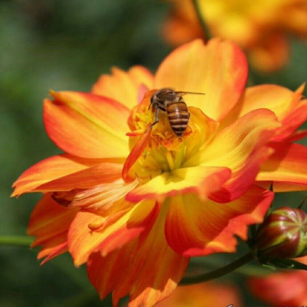 Photograph by Samyuktha Narayanan