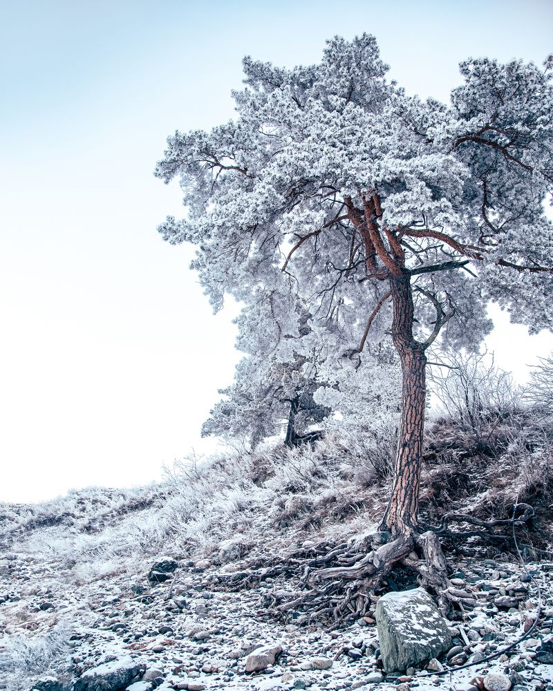 Фотография автора Михаил Трищенков