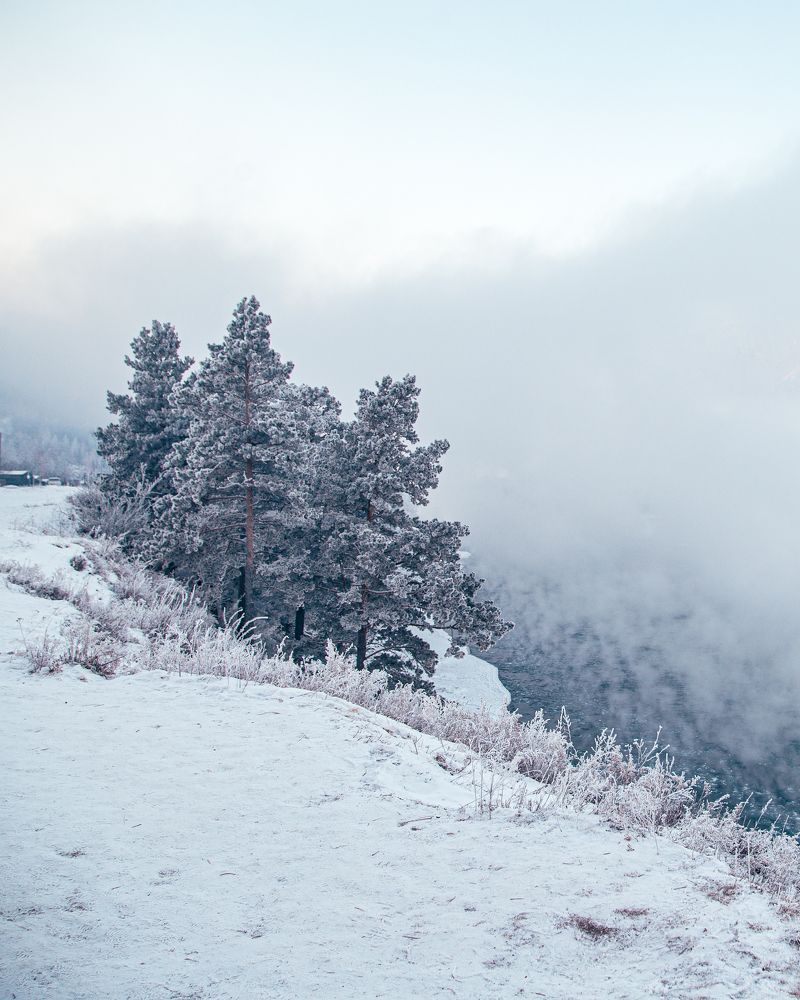 Фотография автора Михаил Трищенков